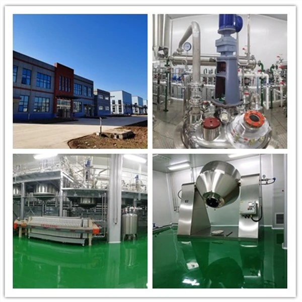4-Phenoxybenzeneboronic Acid,CAS:51067-38-0,C12H11BO3 best